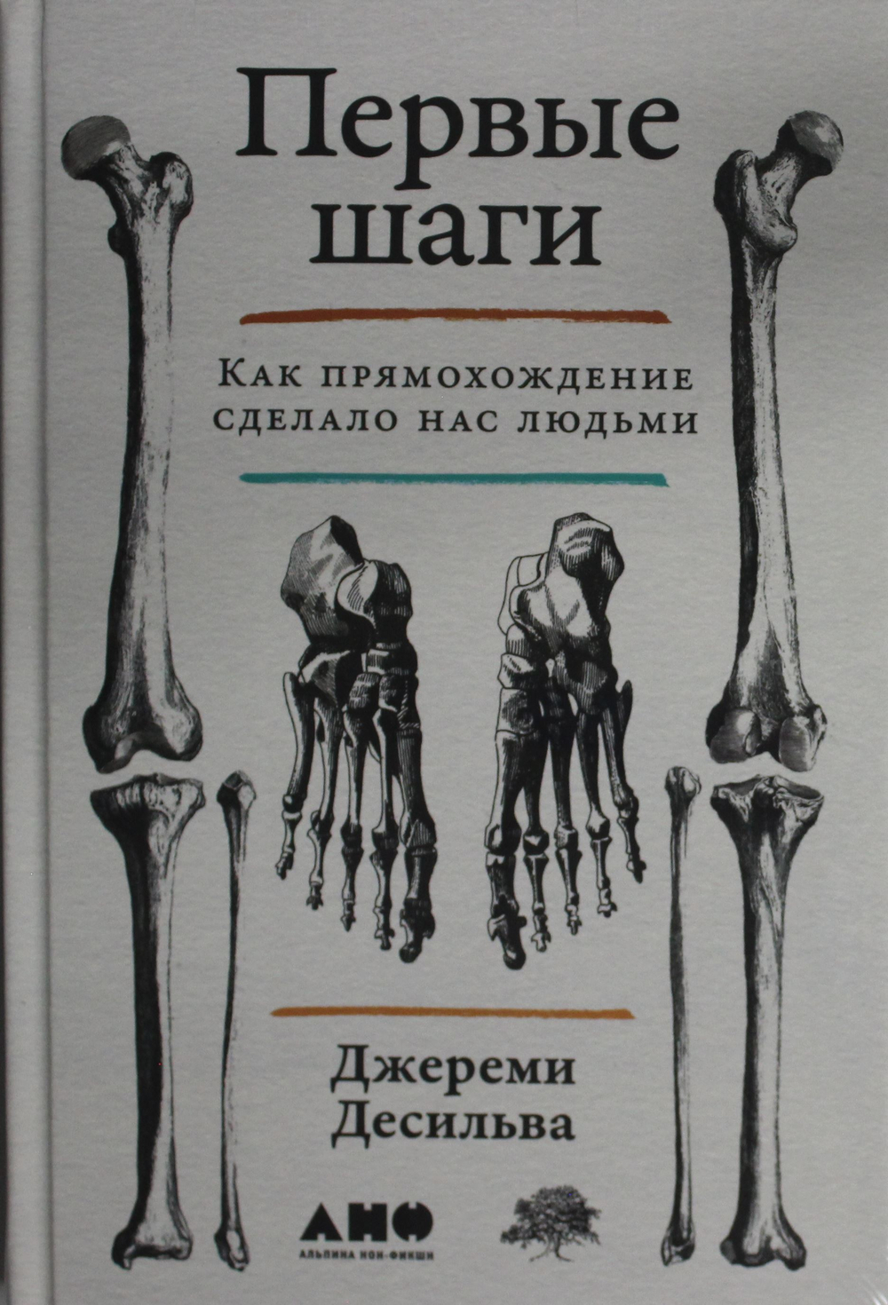 Первые шаги: Как прямохождение сделало нас людьми