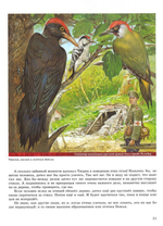 Птички Божьи. Ожившие картины. Борис Проказов