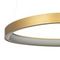 Подвесной светодиодный светильник Citilux Genka Smart CL756A042