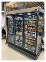 Горка холодильная ENTECO MASTER НЕМИГА П2 CUBE1 RD 375 ВС (выносной агрегат) пристенная