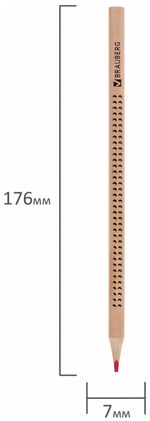Карандаши цветные BRAUBERG "ЦВЕТЫ", 24 цвета, трехгранные заточенные, лакированное дерево, 181368