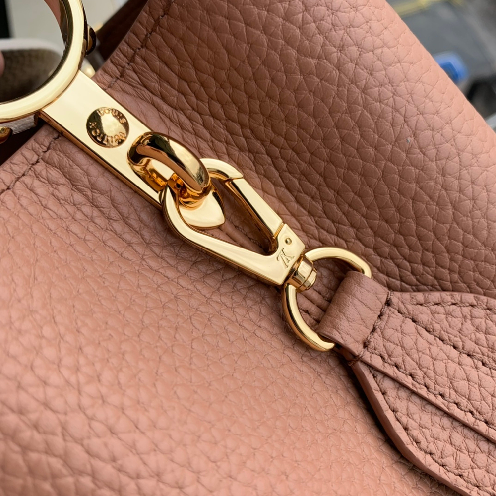 Louis Vuitton Capucines Mini