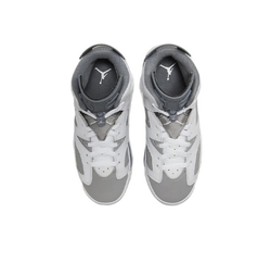 Женские кроссовки Air Jordan 6 retro "cool grey" 384665-100