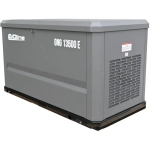 EVOline GNG 13500 E газовый генератор