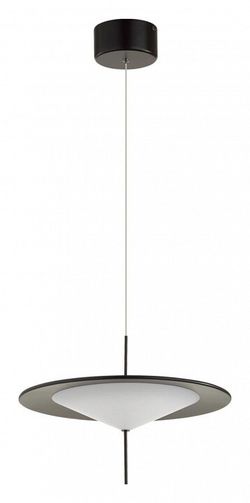 Подвесной светильник Odeon Light Steka 5012/16L