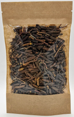 Ольха чёрная (почки)