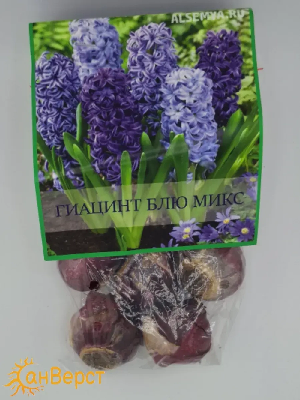 Гиацинты луковицы для посадки 10 шт. Микс цветов