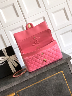 Chanel Bag 25 cm