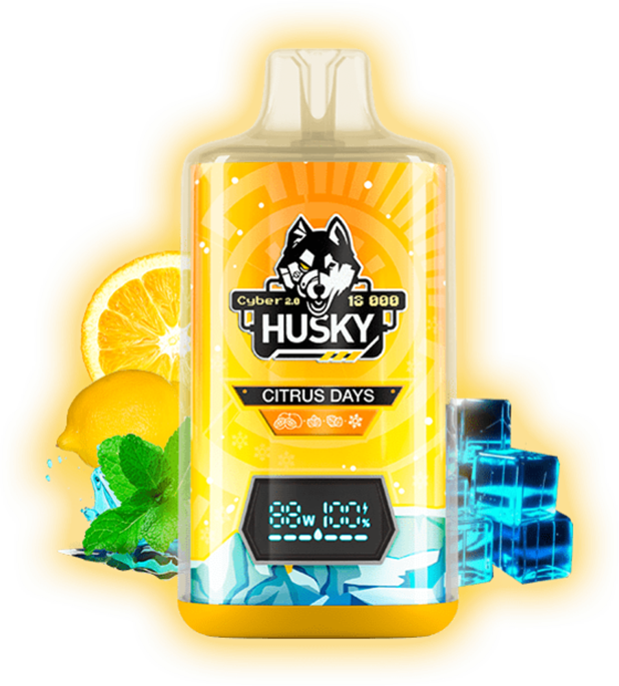Одноразовая электронная сигарета Husky Cyber 2.0 - Citrus Days (18000 затяжек) Одноразовая электронная сигарета Husky Cyber 2.0 - Citrus Days (18000 затяжек)