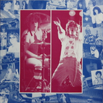 Def Leppard / High 'N' Dry (LP)