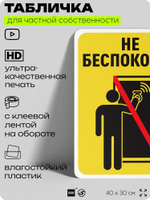 Табличка для частной территории "Не беспокоить", на дом, для участка, организаций и частных территорий, предупреждающая, 40х30 см, Silver Plane x Айдентика Технолоджи