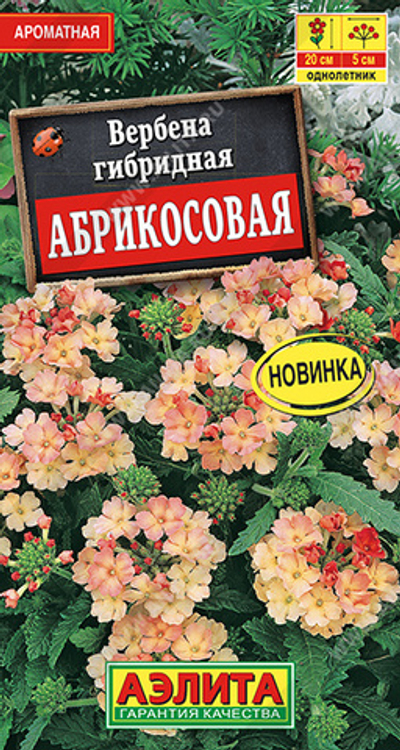 Вербена Абрикосовая однолетник 10шт (Аэлита)