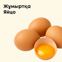 Яйцо