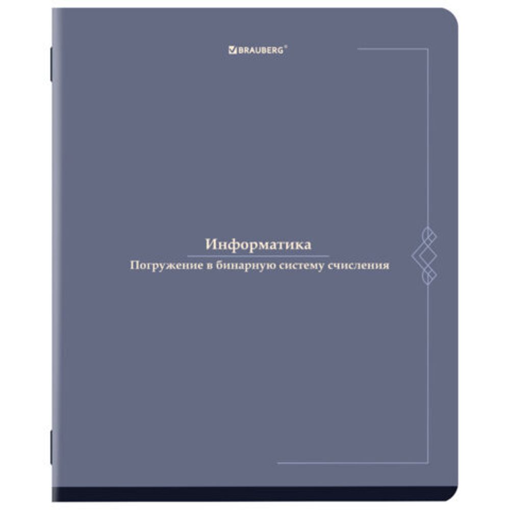 Тетрадь предметная VINTAGE 48 л., SoftTouch, ИНФОРМАТИКА, клетка, подсказ, BRAUBERG, 405154