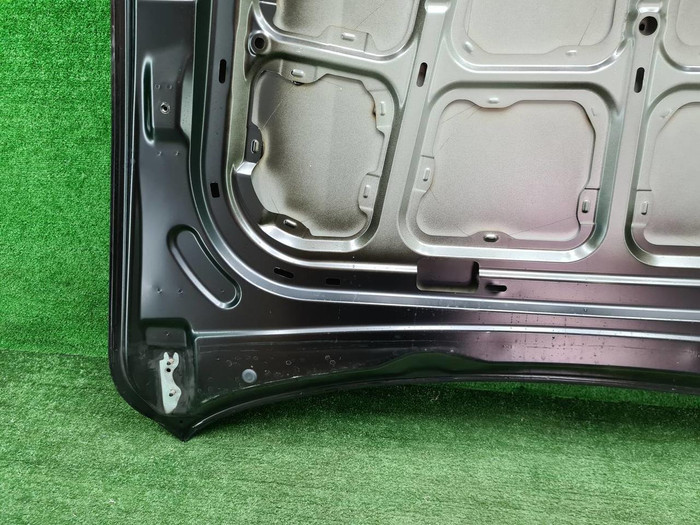 Капот Hongqi HS5 (2019-н.в.)