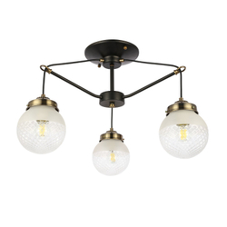 Светильник потолочный Evoluce Stricce SLE110302-03