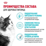 Корм сухой для кошек "Urinary care", 400г
