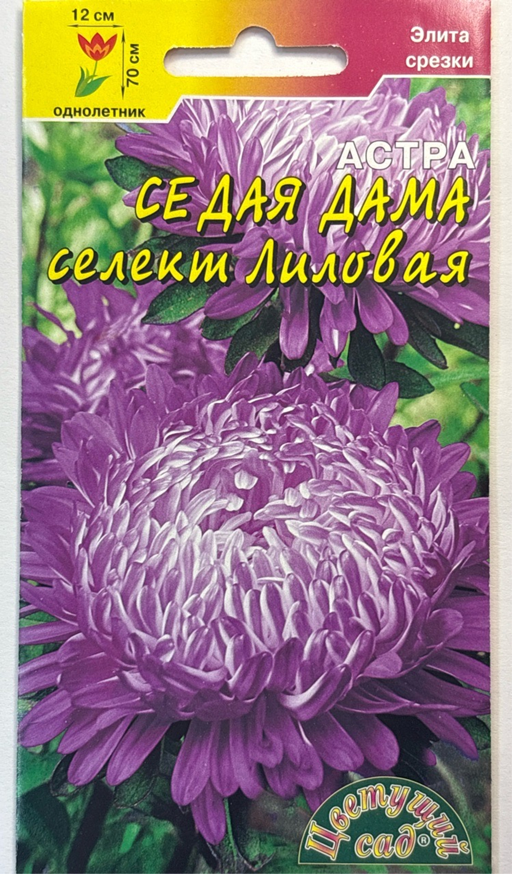 Астра Седая Дама лиловая 0,1 г СМЦ-547