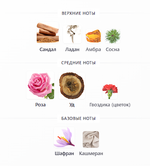 Adrenaline Hormone Paris 100ml (duty free парфюмерия)