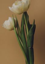 Кольцо Love in биколор