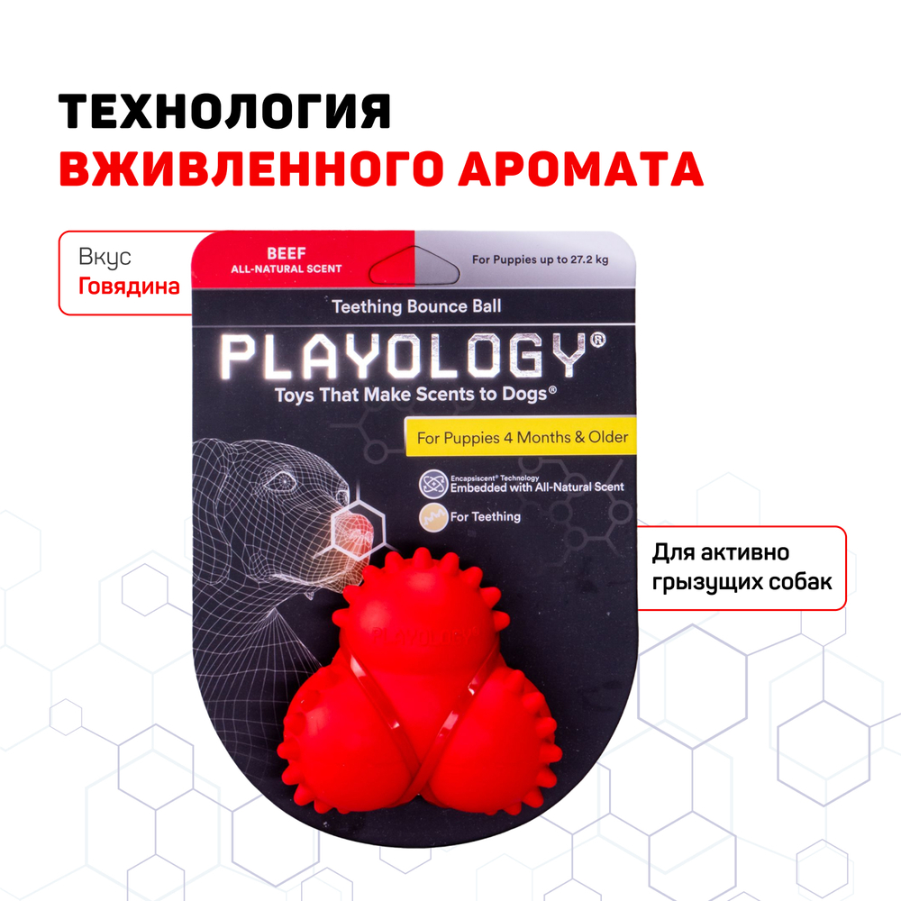 Playology дентальный жевательный тройной мяч SQUEAKY BOUNCE BALL для щенков 4-8 месяцев с ароматом говядины, цвет красный
