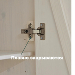 Шкаф для одежды деревянный 2 двери Мадейра 104х59х211 см из массива сосны, с полками и штангой