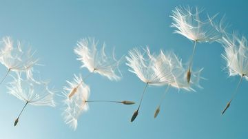 Призвание или дело по душе