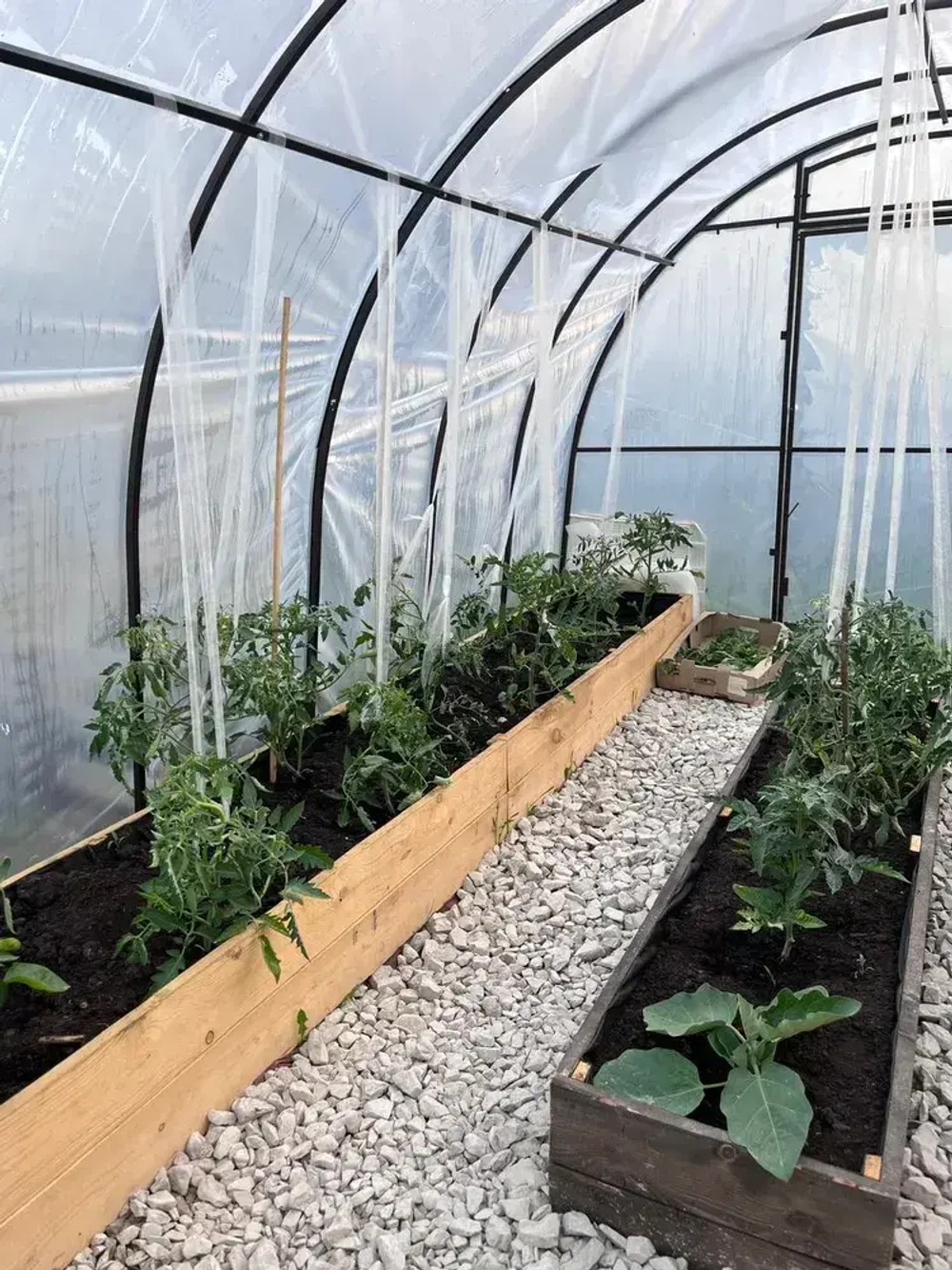 Бинт строительный 50мм*100м белый, подвязка для растений