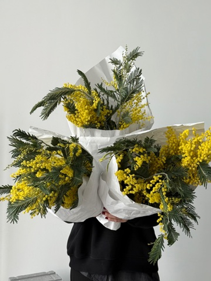 Охапка мимоза 3 шт