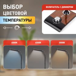 Настольный светильник ЭРА NLED-473-10W-BK светодиодный черный с деревом
