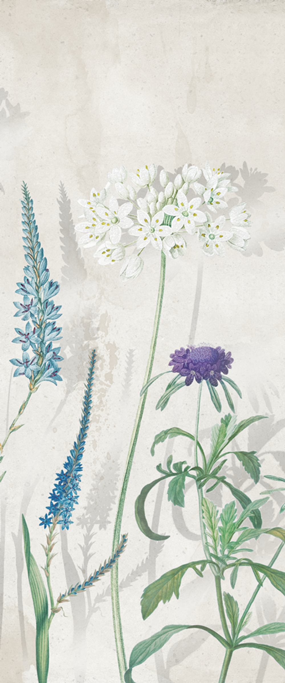 Liberty grey panno 01 500х600 (1-й сорт)