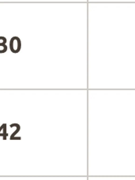 Чашки спейсер балконет СМ-24, 75В-80А-70С-65D, телесный 126