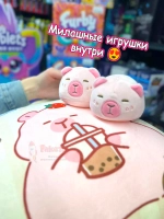 Мягкая игрушка подушка Pudding Пудинг Капибара 6 шт