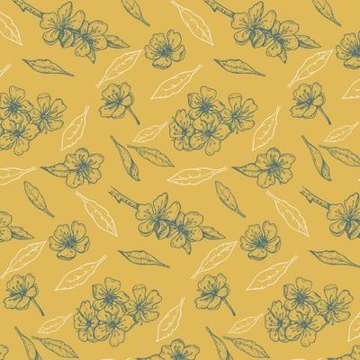 Цветение вишни