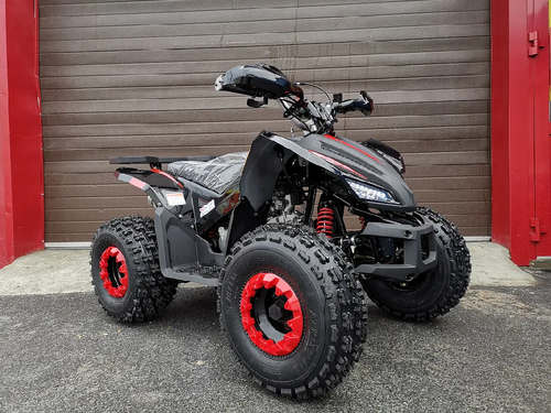 КВАДРОЦИКЛ PROMAX SPORT - PRO 180 (2025)