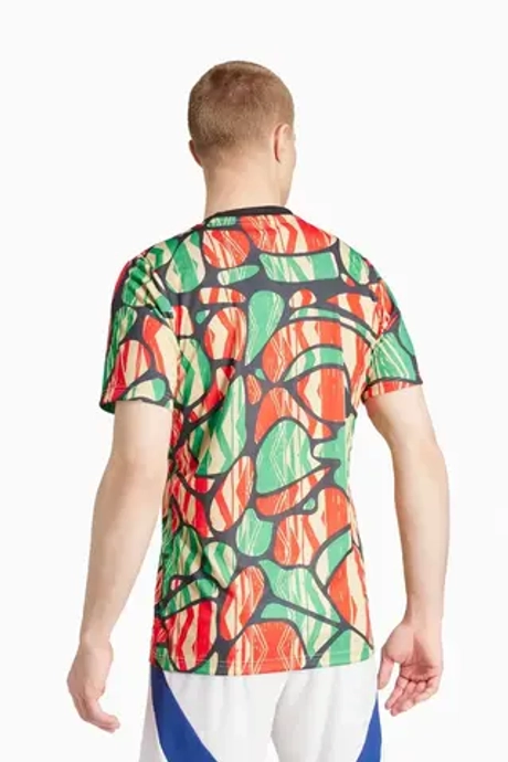 Футболка adidas Arsenal FC 24/25 Pre-Match