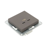 Механизм розетки USB-C - 2шт, мокко Эпика EKF