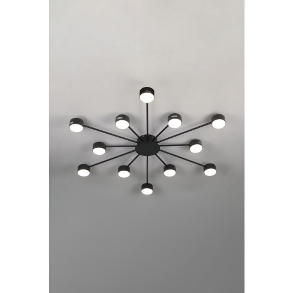 Люстра Rivoli Leona 3184-312 12хGX53 15 Вт модерн | Модерн