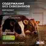 Ангар пневмокаркасный сельскохозяйственный «ТехАгро» 25×12×8 м — из ПВХ, быстровозводимый