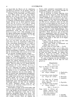 Exotische schmetterlinge. II Theil. Die Familien und Gattungen der Tagfalter | O. Staudinger; E. Schatz