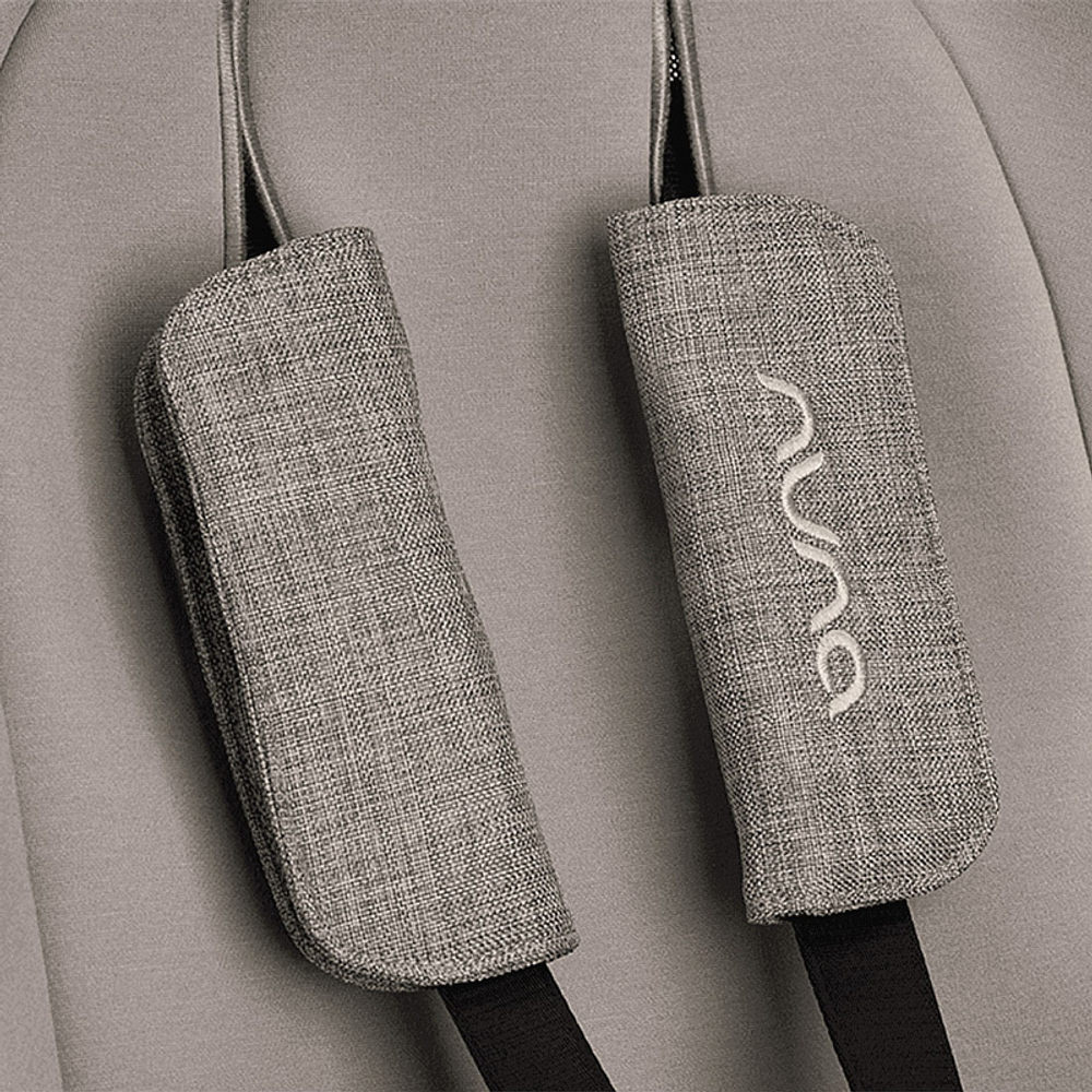 Коляска прогулочная Nuna TRIV Next BMW Graphene