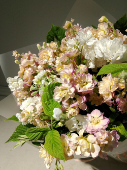 Летний солнечный букет с танацетумом и ароматными пионами Сара Бернард (С0034)