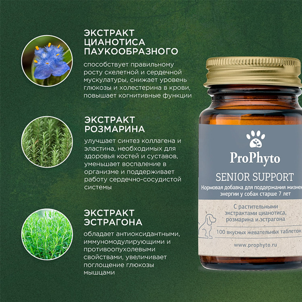 ProPhyto Сеньор Саппорт, 100 таблеток