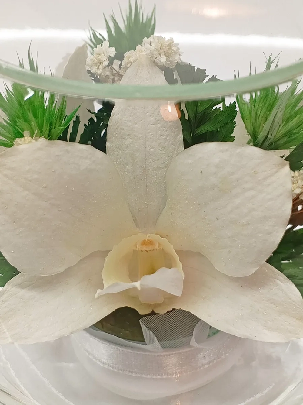 натуральные цветы в стекле, вакуум