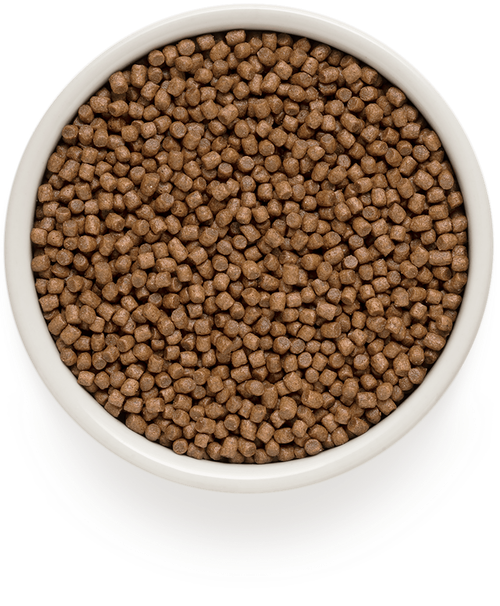 Grandorf Kitten корм сухой для котят ягненок с индейкой