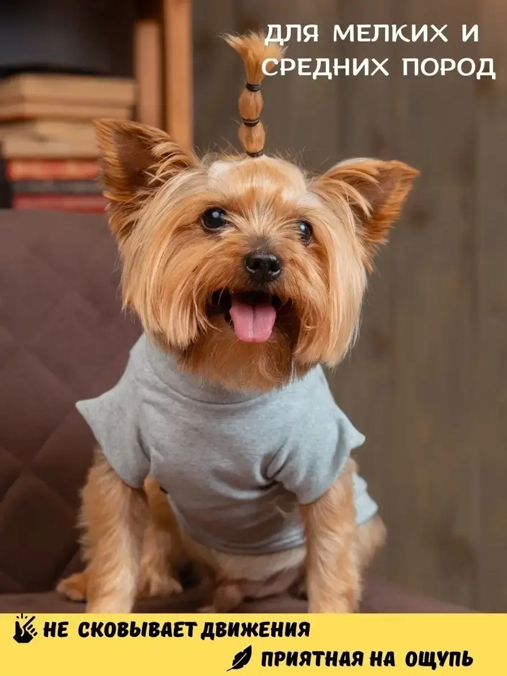 Футболка для собак мелких средних пород и кошек