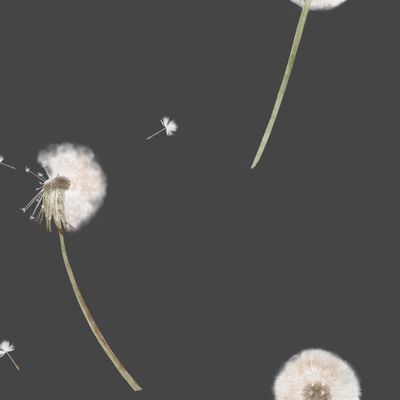 Одуванчики темный фон