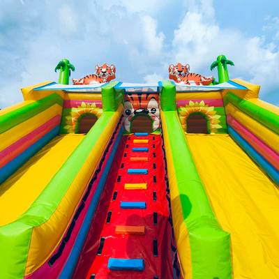 Коммерческий надувной батут «Тигриная страна 3», 10*6*5,5 м