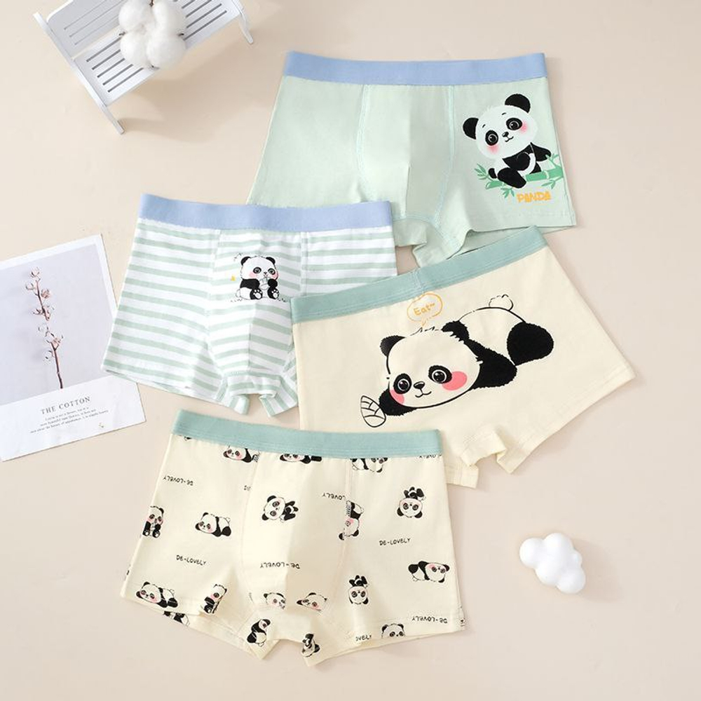 Комплект трусов для мальчиков (4 шт.)