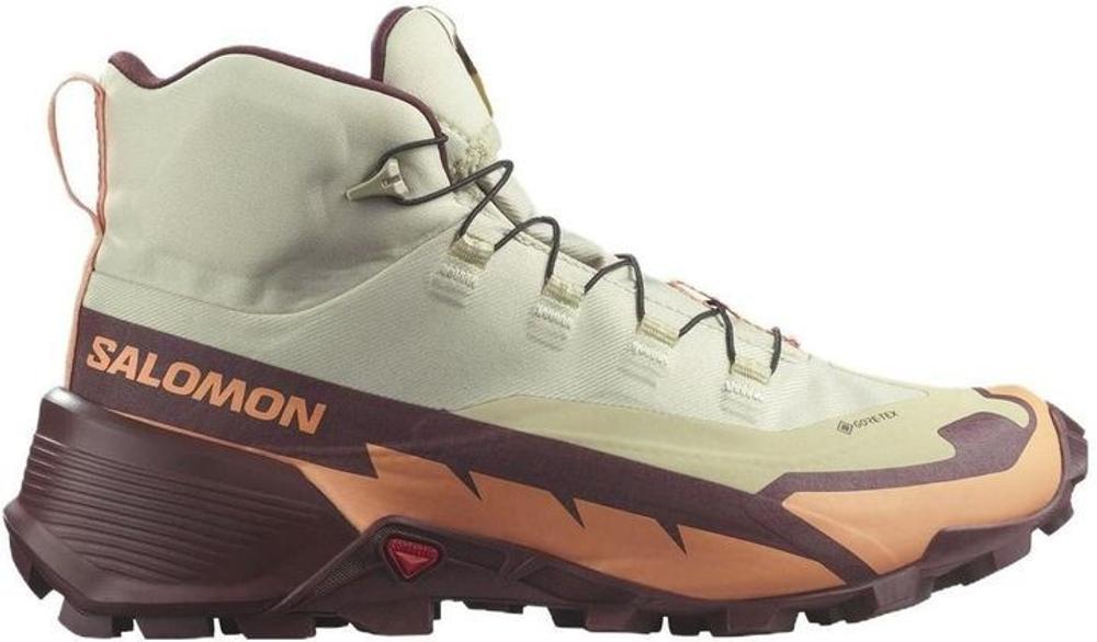 Кроссовки Salomon CROSS HIKE MID GTX 2 W